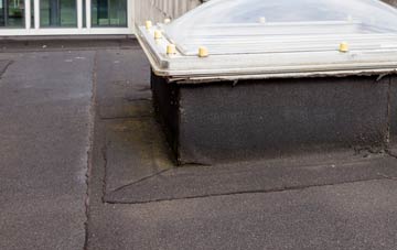 disadvantages of Wraxall flat roofs