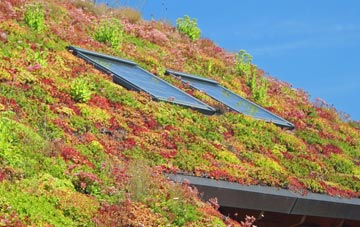 Wraxall living roof systems