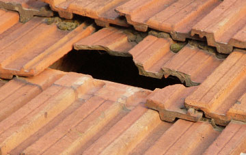 roof repair Wraxall