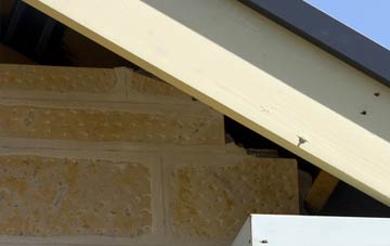 soffit repair Wraxall