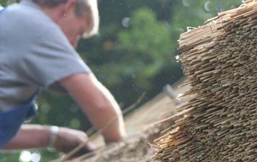 professional Wraxall thatchers